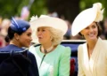 Experts drop bombshell on Prince Harry, Meghan '100 headlines, zero fame'