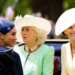 Experts drop bombshell on Prince Harry, Meghan '100 headlines, zero fame'