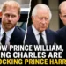 How Prince William, King Charles are blocking Prince Harry